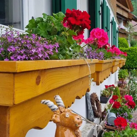 Haus Huettlinger Bad Hindelang